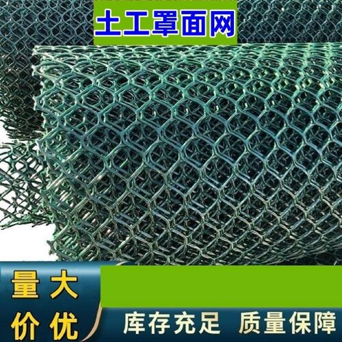 HDPE土工网塑料防护网平网绿化罩面网攀爬网CE131CE151护坡罩面网