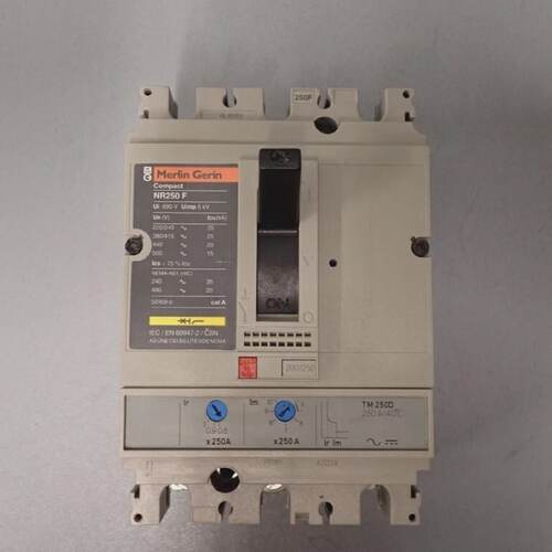 NR250F  MERLIN GERIN  NR250F  Interruttore Usato