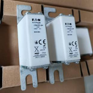 巴斯曼熔断器170M1318 170M 170M1319