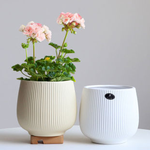 陶瓷花盆轻奢高级感家用客厅兰花绿植大号发财树白蝴蝶兰专用