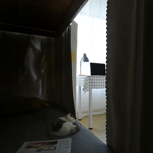 大学生宿舍90x190下铺床帘加厚上铺简约女超强遮光寝室神器有支架
