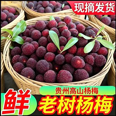 贵州野生杨梅新鲜杨梅现摘现发爆汁杨梅精选优质杨梅酸甜多汁