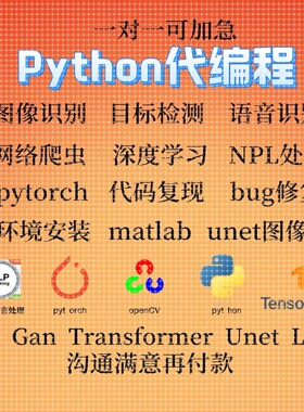 python代编程深度学习机器图像视觉接单代跑模型代码调试编写程序