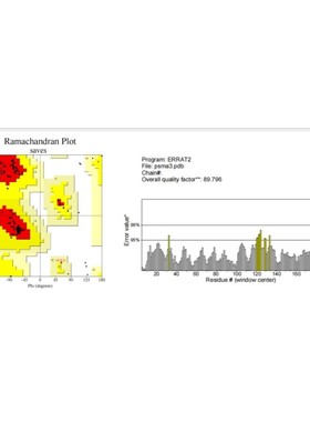 modeller 同源建模 aphafold  蛋白结构预测