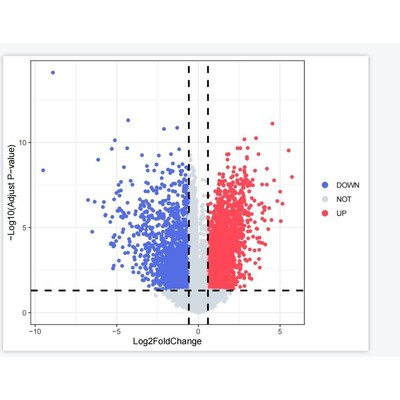 生信作图scif科研生物信息分析做图绘图制图火山气泡聚类热单组图