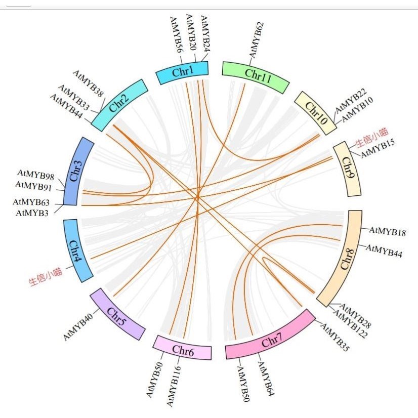 基因家族分析全套定制/成员鉴定/顺式元件进化树结构域共线性