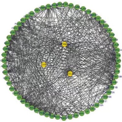 植物生物信息学分析GWAS转录组WGCNA代谢组等