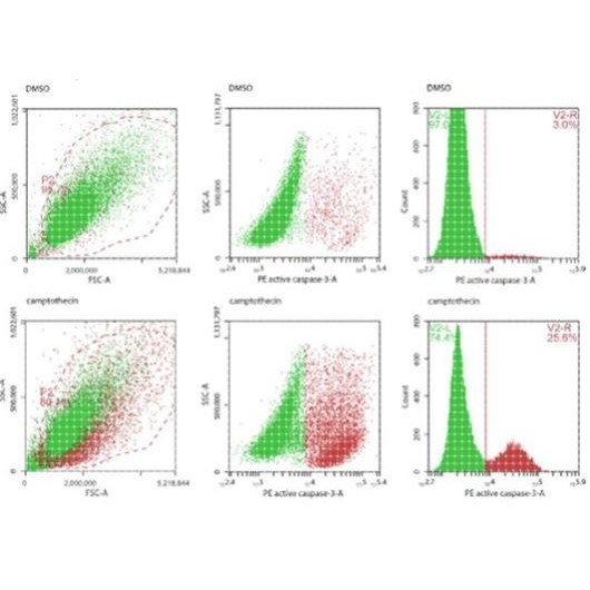热图韦恩图火山图森林图气泡图单细胞miRNA靶基因转录组RNAseq