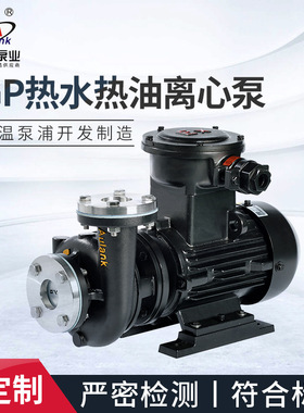 奥兰克RGP-20EX隔爆型高温泵小型模温机离心式高温锅炉增压泵