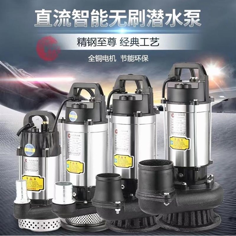 德国进口无刷智能直流潜水泵48V60V72V通用大流量电动电瓶车抽水