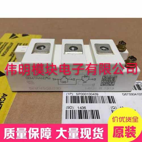 SKM145GB123D/128DE BSM100GB120DLCK SKM195GB126DN全新质量保证