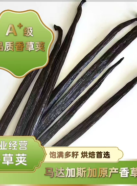 香草荚烘焙马达加斯加香草荚兰天然豆荚条香草籽膏食用香草精进口