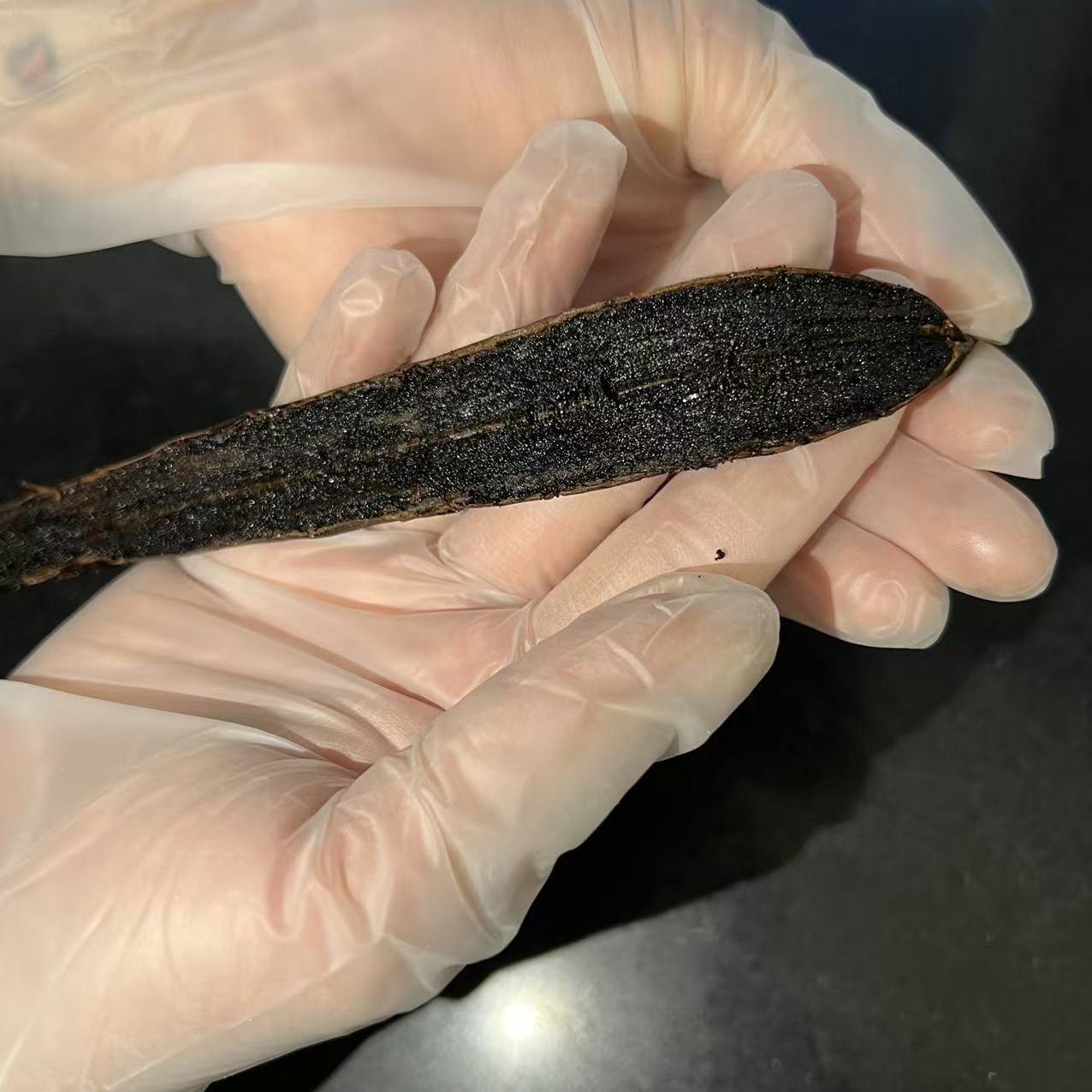 香草荚烘焙马达加斯加香草荚兰天然豆荚条香草籽膏食用香草精进口