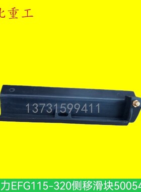 堆高机配件jungheinrich永恒力EFG115320侧移滑块50054722华北重