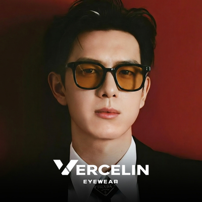 黑框茶色墨镜男女高级感痞帅偏光