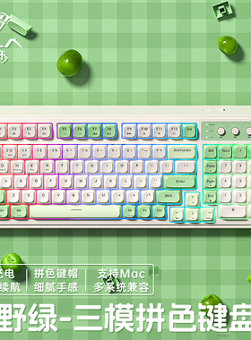 狼蛛S99三模无线蓝牙键盘人体工学打字手感好通用女生工位轻音键