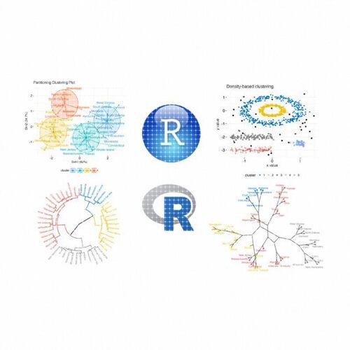R语言代做 R聚类分析 K-means 层次聚类 密度模型聚类画图 R代做