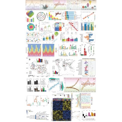 R语言统计分析 远程代码指导 数据挖掘