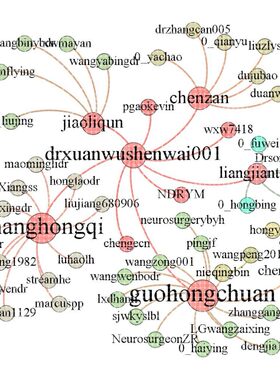 社会网络分析 代做 可视化 做图 复杂网络 Python Ucinet Gephi