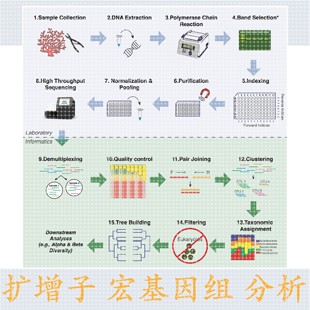 生信分析2 5分TCGA数据验证构建预后模型单细胞转录组测序分析
