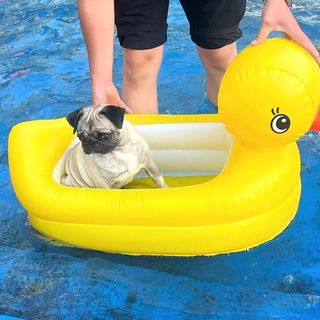 狗狗游泳圈宠物水上浮床小型犬泰迪柯基泳圈户外便携小黄鸭充气床