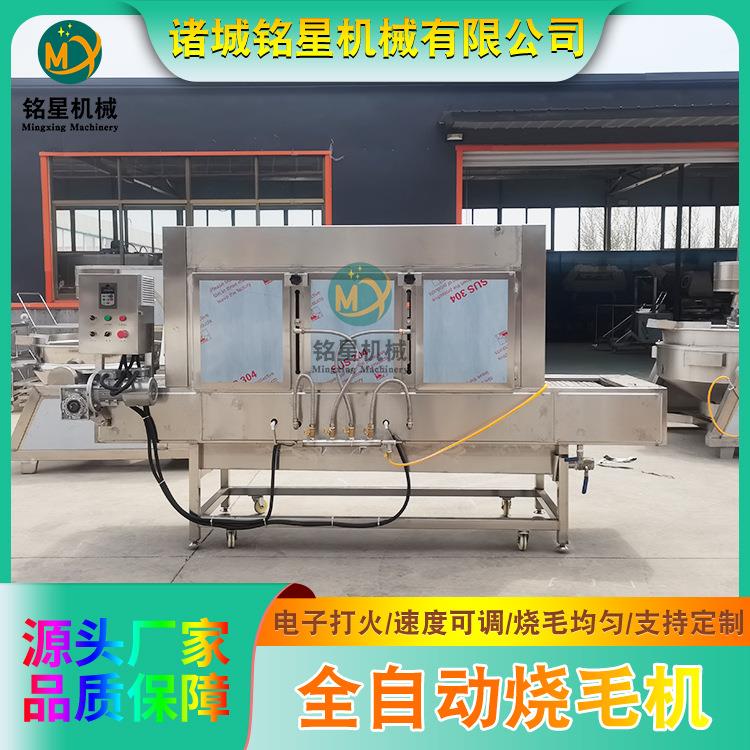 连续式猪耳朵烧毛机肉制品加工烧毛去毛设备猪蹄猪脚烧毛机
