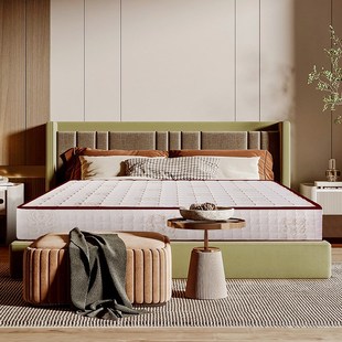 出租房经济款 静音弹簧乳胶席梦思床垫 软硬适中环保护脊23cm床垫