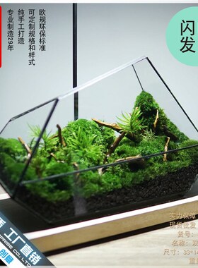 雨林缸苔藓微景观几何玻璃器皿罩盒子家居摆件微缩森林造景花盆器