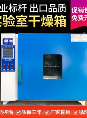 电热恒温鼓风干燥箱实验室工业烘干箱烘干机高温小型烘箱恒温烤箱