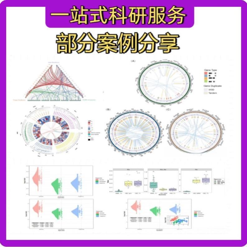 科研思路实验设计火山图绘制医学实验病理检测生信分析