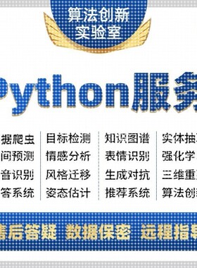 python代编程深度学习算法代码编写答疑大模型跑通指导爬虫调试