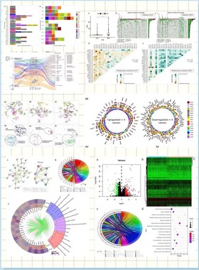生信分析 医学影像组学  PET-CT/CT/ECT  转录组 网络药理学