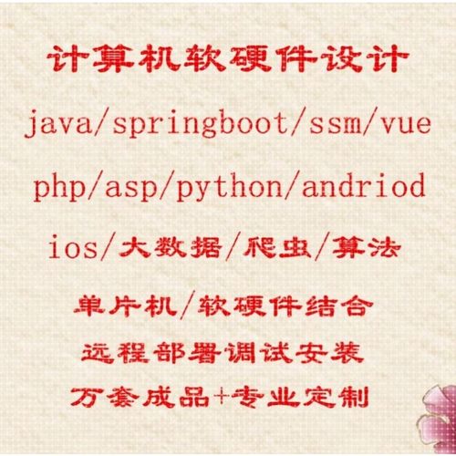 计算机程序设计Java微信小程序PHP代码Python软件安卓vue网站定制