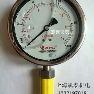 33mm ZHYQ卫生型隔膜压力表 160MPA M20 150MPa PT124Y 620