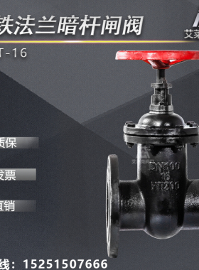 Z45X暗杆弹性座封软密封法兰闸阀阀门DN50 65 80 100 150 200 300