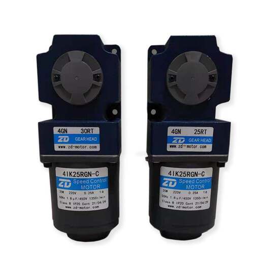 ZD中大25W直角中实带轴交流电机4RK25RGN-C/4GN30RT直角减速机