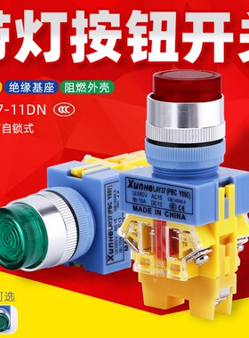LAY37-11DNZS带灯自复位自锁PBC Y090按钮开关平头按钮一开一闭