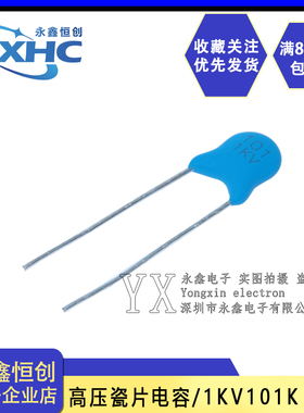 直插高压瓷片电容1000V 1KV 100pf 1KV101K 瓷介 脚距5MM 精度10%