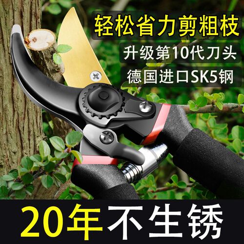 德国进口剪树枝专用剪刀园林果树修枝剪sk5剪子艺园剪刀修花家用