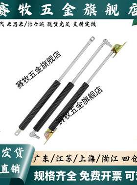 FGSS 22050 22080 22090 22120 22250 A B C D替代 气弹簧