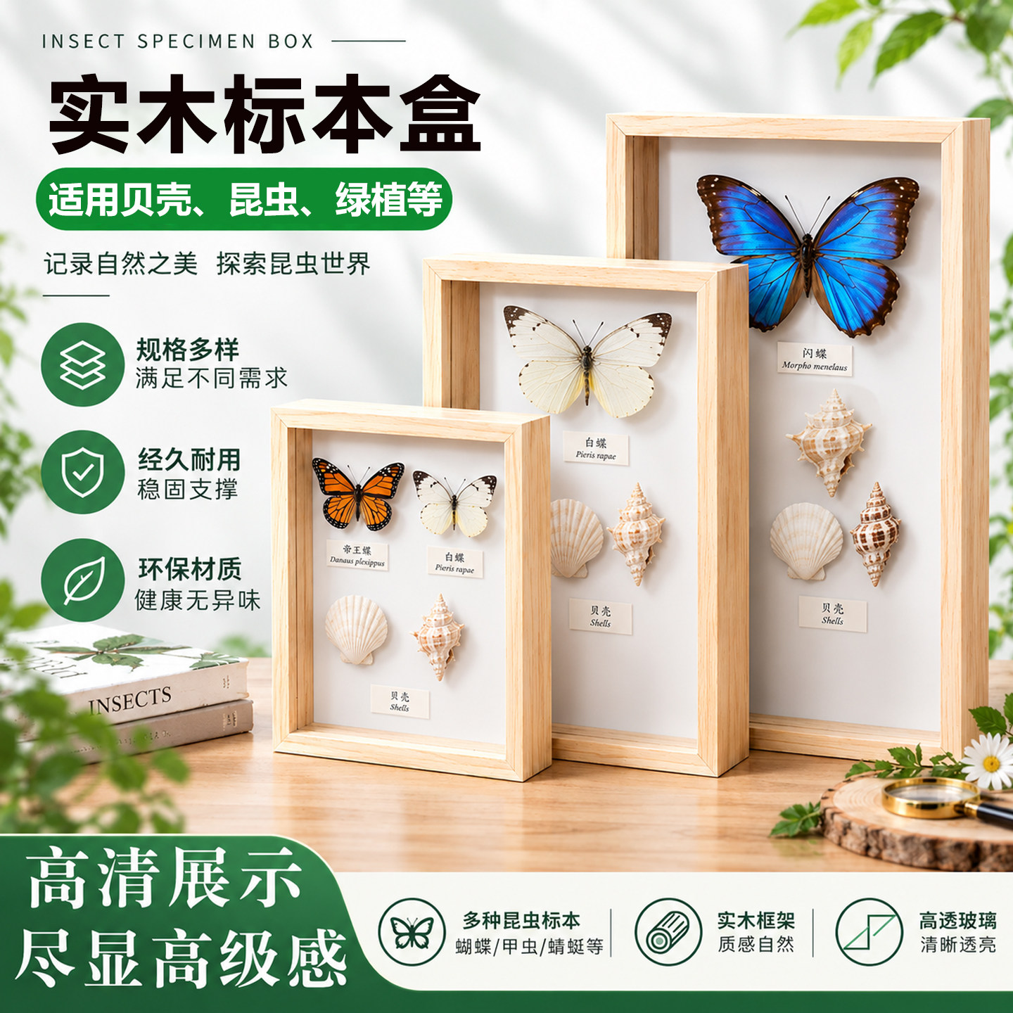 实木昆虫盒蝴蝶标本插针盒松木玻璃标本框diy手工植物昆虫观察盒存放盒展示盒立体框干花保存礼品展示框画框