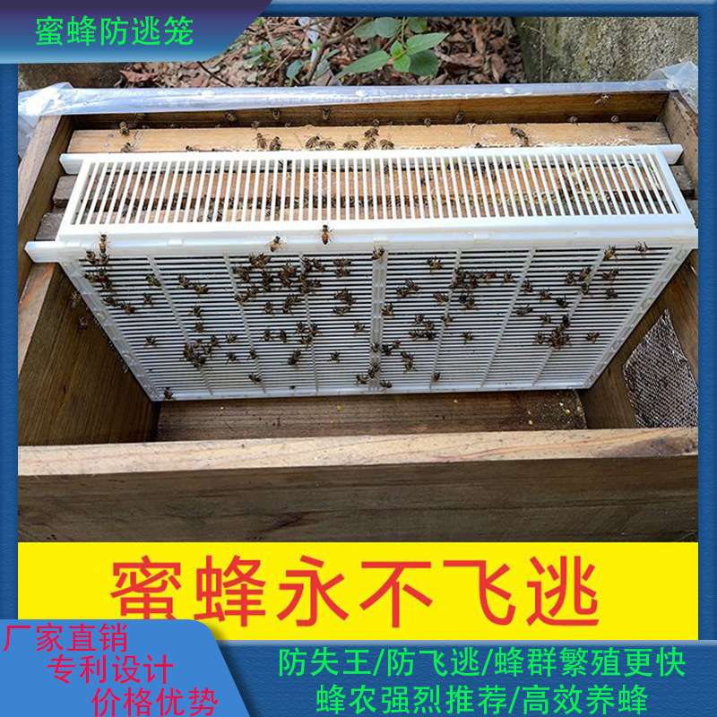 双王群养殖隔王板防盗片蜜蜂多王群饲养笼隔王栅产卵控制器防逃笼