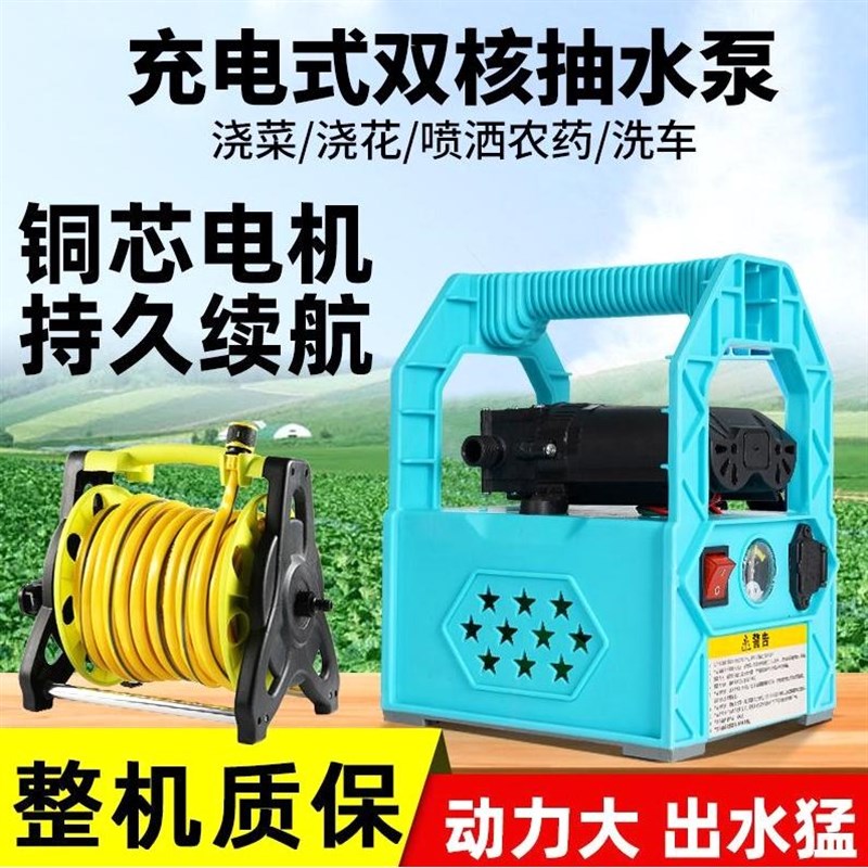 德国进口锂电小型菜地充电式抽水泵浇菜神器浇水浇地农用家用灌溉