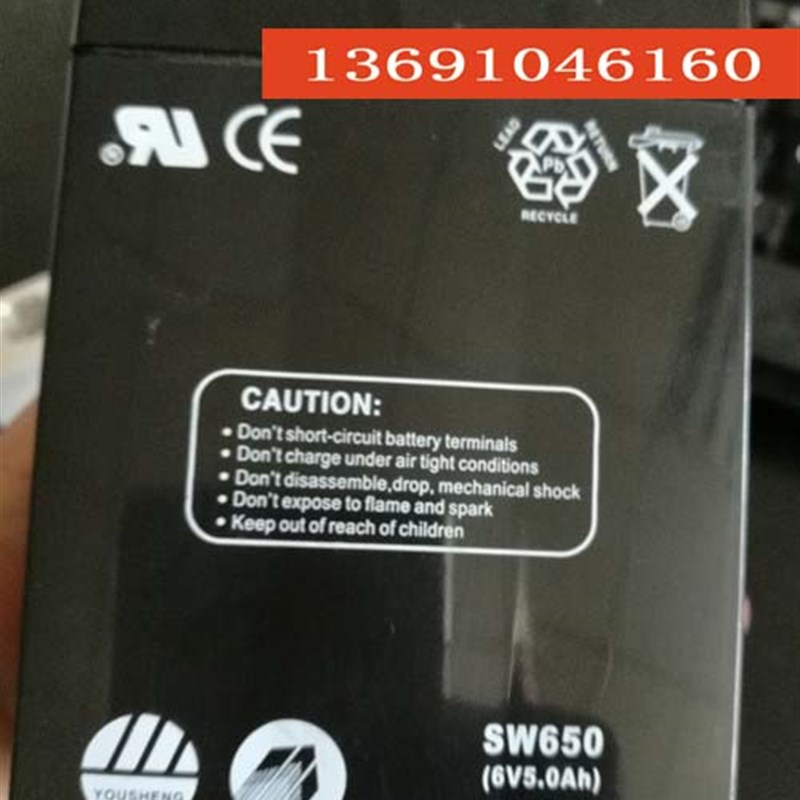 SUNNYWAY蓄电池 SW650 6V5.0AH电动玩具车 儿童遥控车 电子秤电瓶