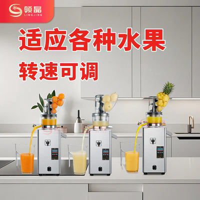 领晶商用大功率整果榨汁机原汁机