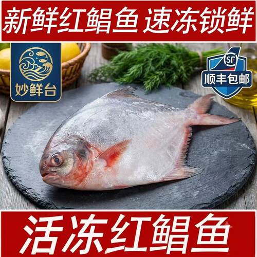新鲜红鲳鱼速冻锁鲜顺丰包邮