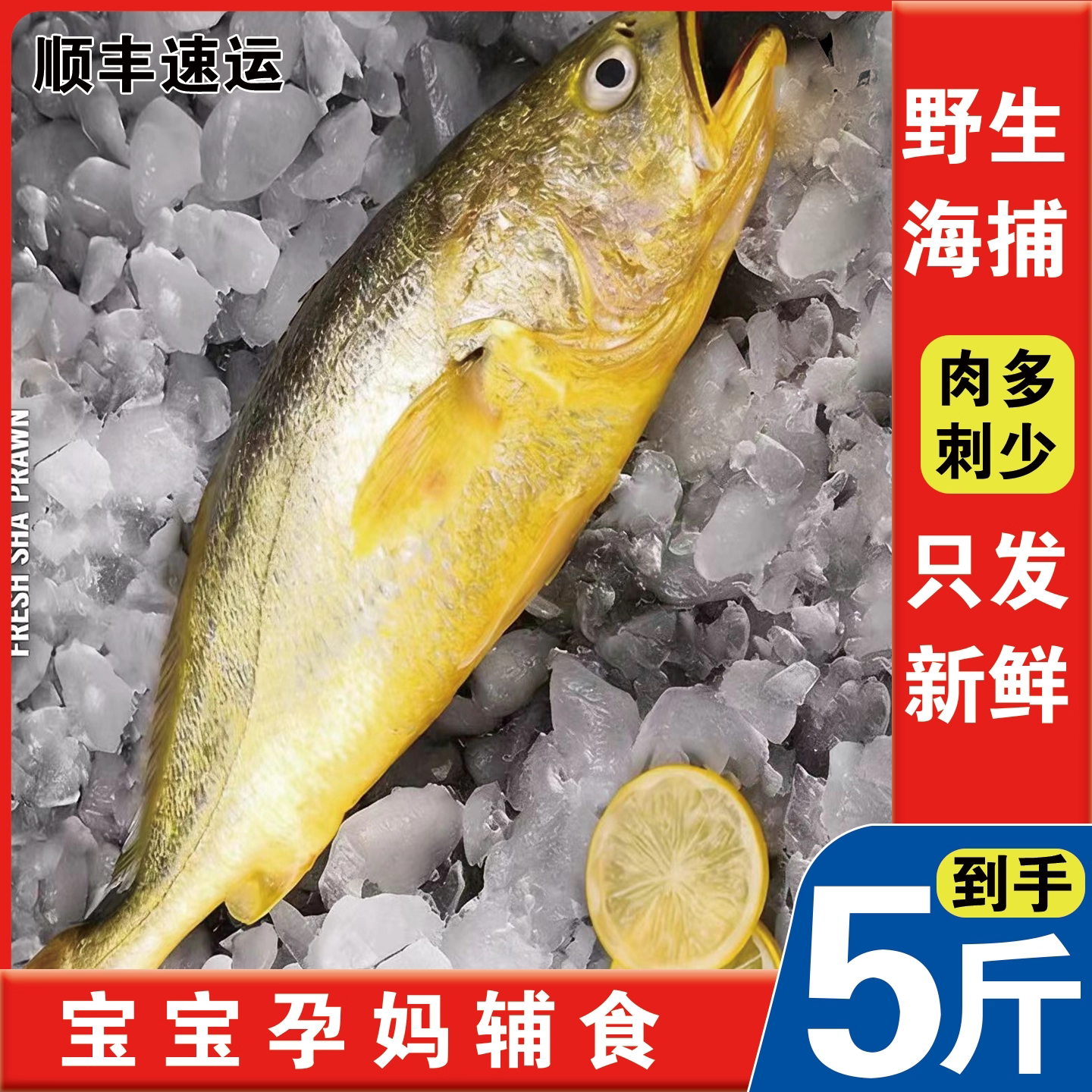 黄花鱼新鲜冷冻特大黄鱼鲜活生鲜深海鱼黄鱼鲞小黄鱼宁德商用整箱