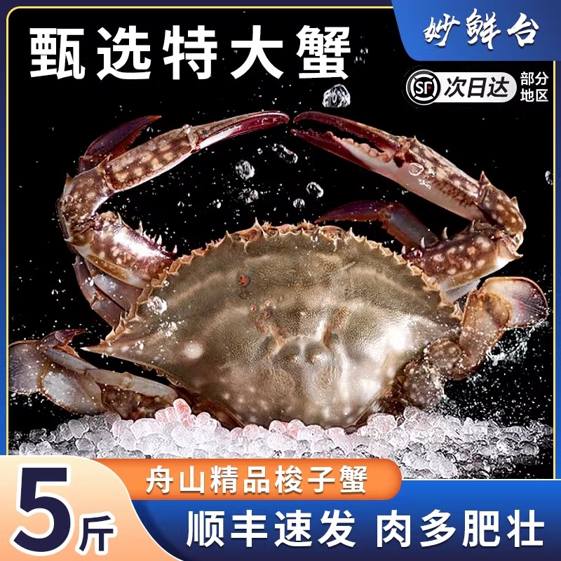 【冻蟹】特大野生舟山梭子蟹活冻大螃蟹海鲜新鲜海蟹水产飞蟹白蟹