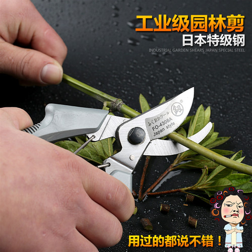 日本福冈园艺剪8寸树枝剪刀果枝剪园林剪刀园丁剪修花剪修枝剪刀