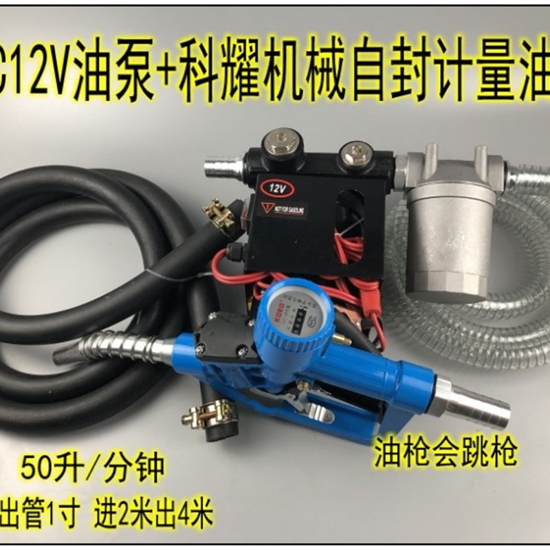 大流量加油泵配电子机械计量自封油枪组合加油机抽油泵220V12V24V